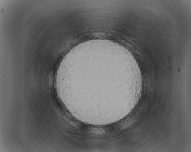 X0000087400702200705181332