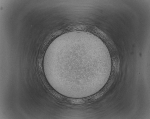 X0000087400705200705181332