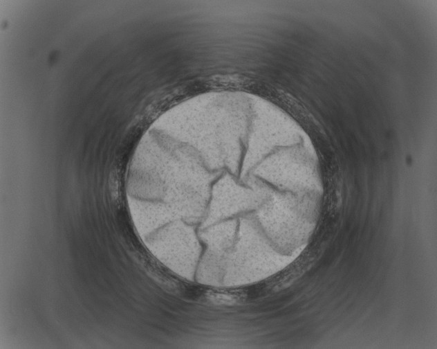 X0000087400706200705181332