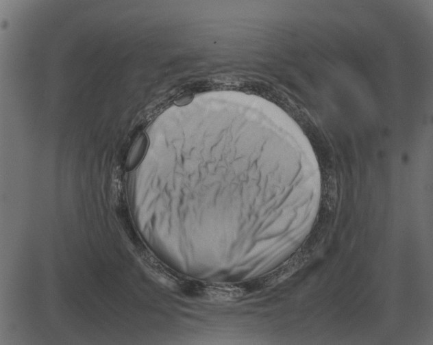 X0000087400707200705181332