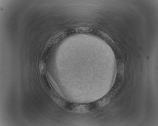 X0000087400709200705181332