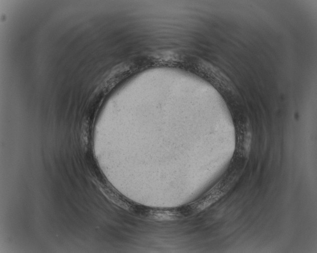 X0000087400710200705181332