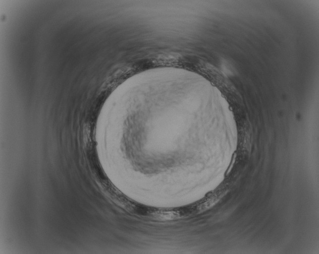 X0000087400711200705181332