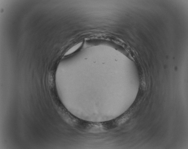 X0000087400715200705181332