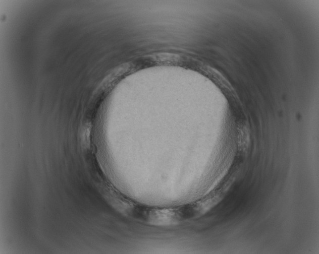 X0000087400717200705181332