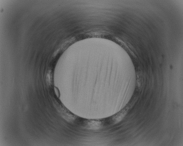 X0000087400718200705181332