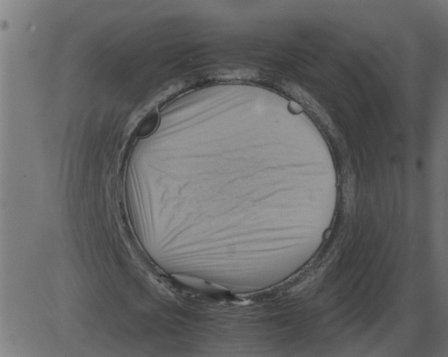 X0000087400721200705181331