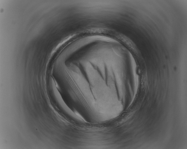 X0000087400722200705181331