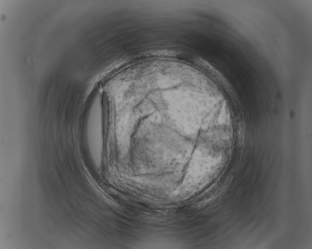 X0000087400725200705181331