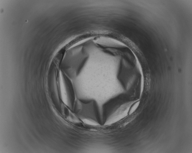 X0000087400726200705181331