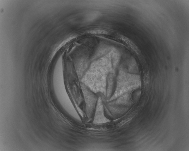 X0000087400727200705181332