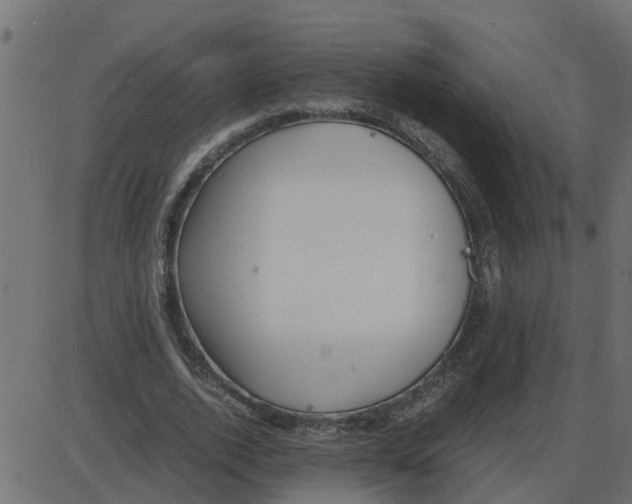 X0000087400728200705181332