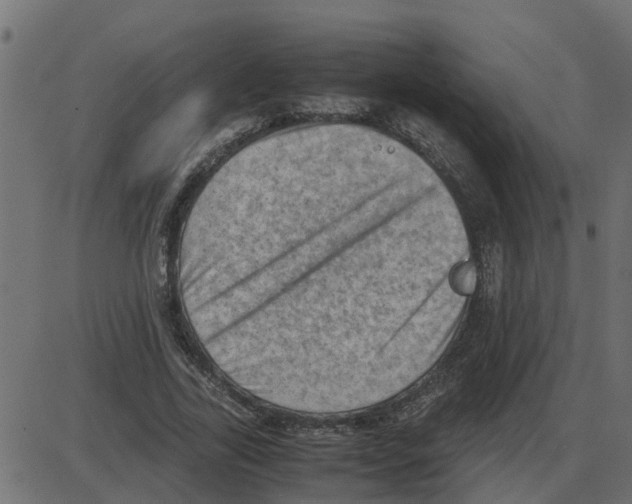 X0000087400731200705181332