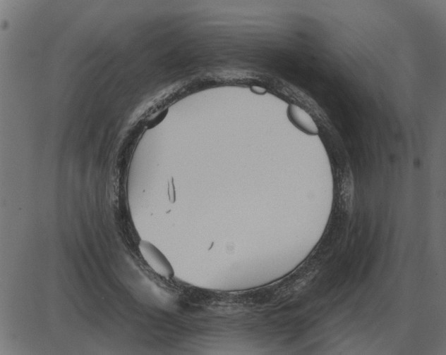 X0000087400732200705181332