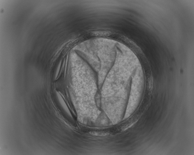 X0000087400733200705181332