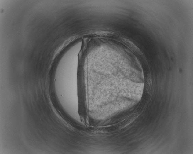 X0000087400734200705181332