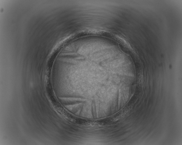 X0000087400736200705181332