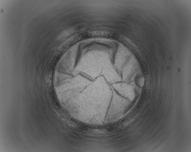 X0000087400737200705181332