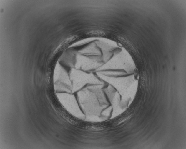 X0000087400739200705181332