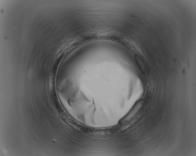 X0000087400740200705181332