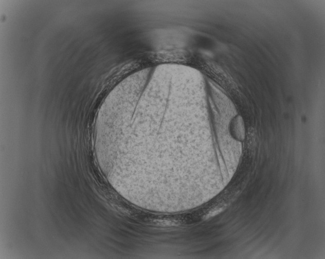 X0000087400741200705181332