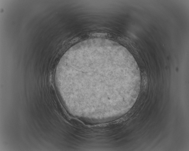 X0000087400745200705181332