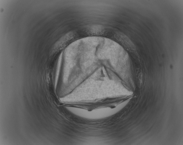 X0000087400746200705181332