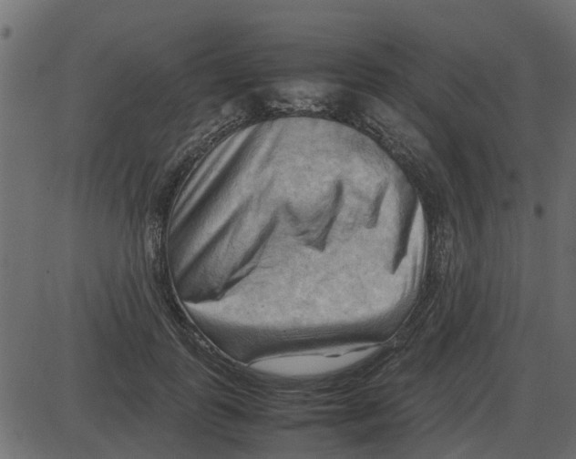 X0000087400747200705181332