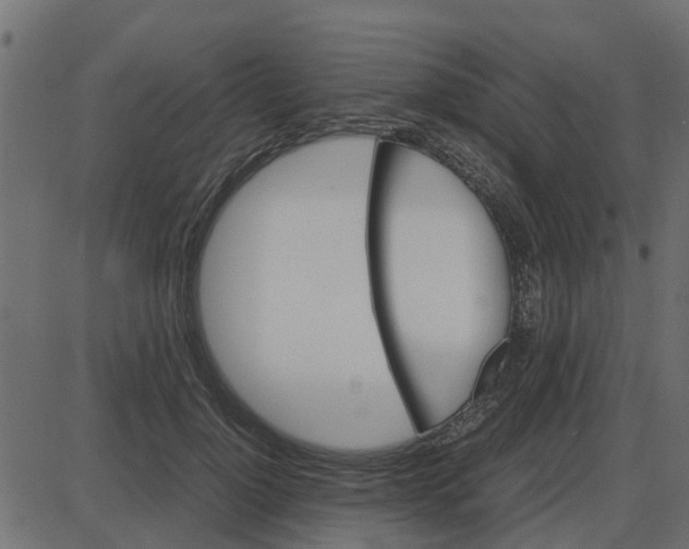 X0000087400748200705181332