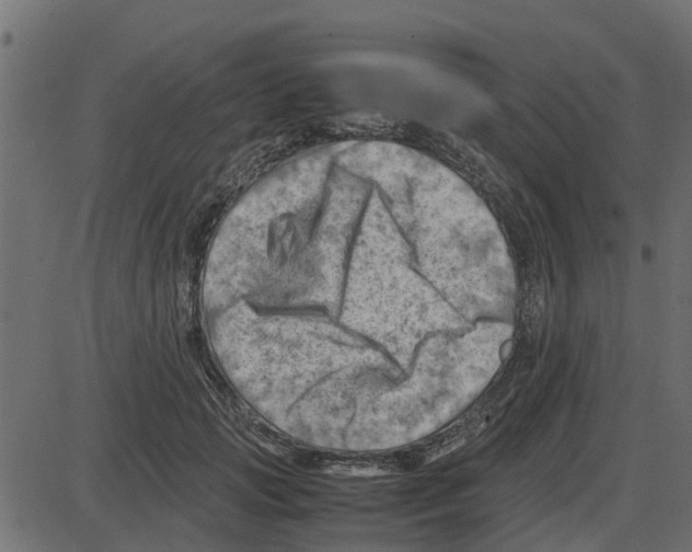 X0000087400749200705181332