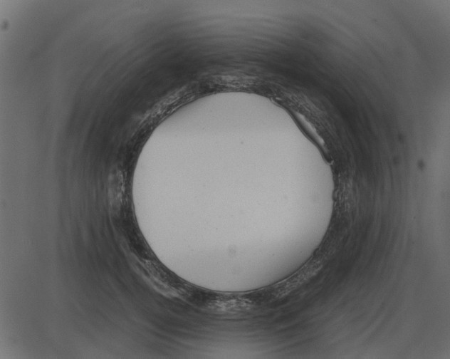 X0000087400752200705181332