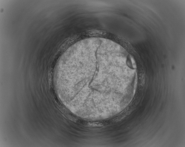 X0000087400753200705181332