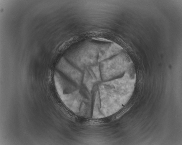 X0000087400758200705181332