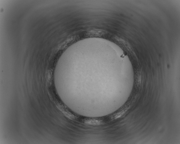 X0000087400759200705181332