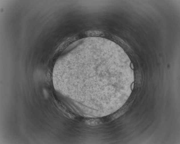 X0000087400761200705181332