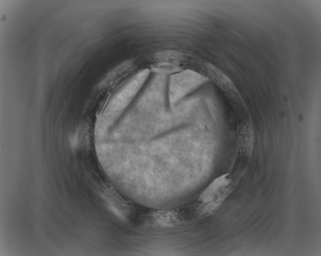 X0000087400762200705181332