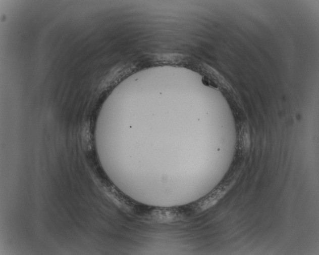 X0000087400764200705181332