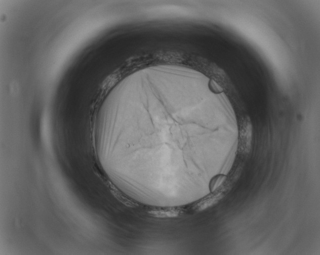 X0000087400765200705181332