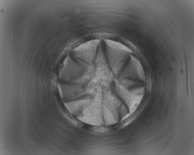 X0000087400766200705181332