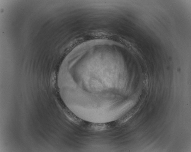 X0000087400767200705181332