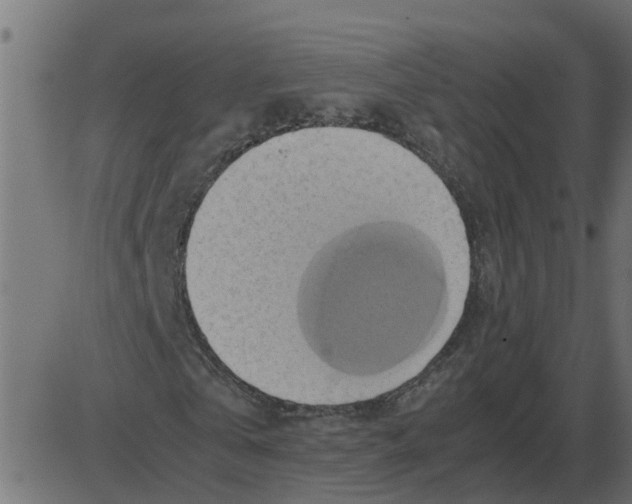 X0000087400769200705181331