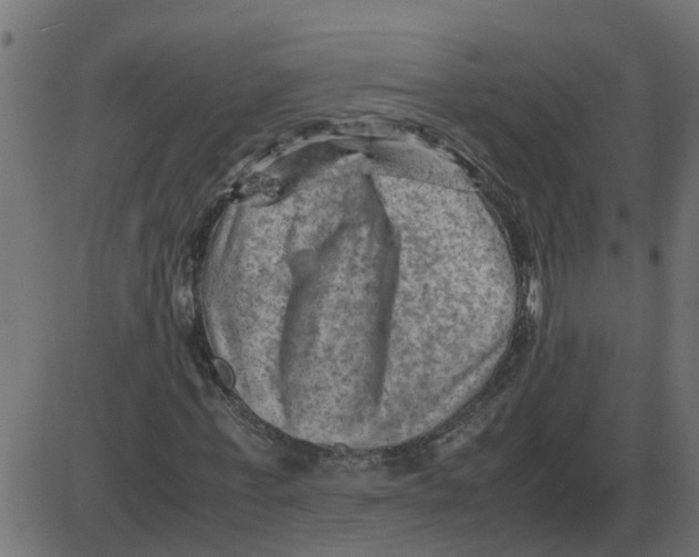 X0000087400771200705181331