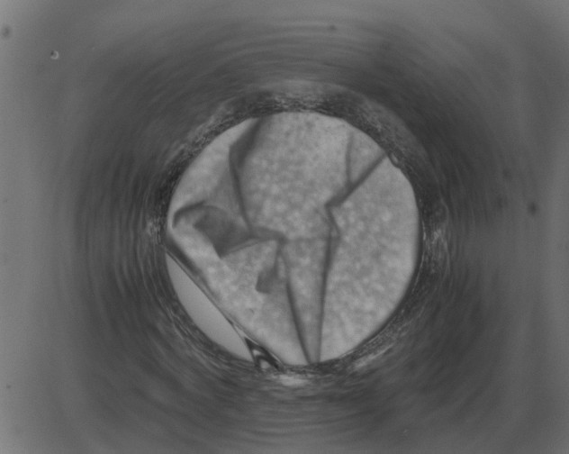 X0000087400772200705181331