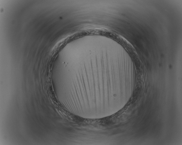 X0000087400775200705181331