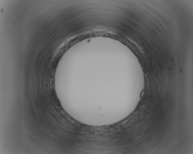 X0000087400776200705181331