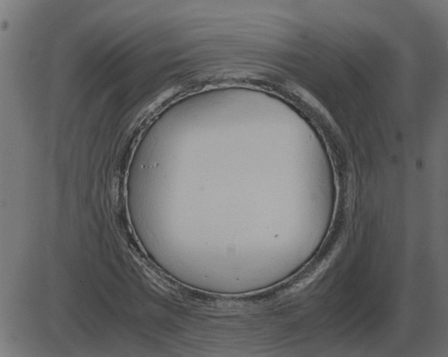 X0000087400777200705181331