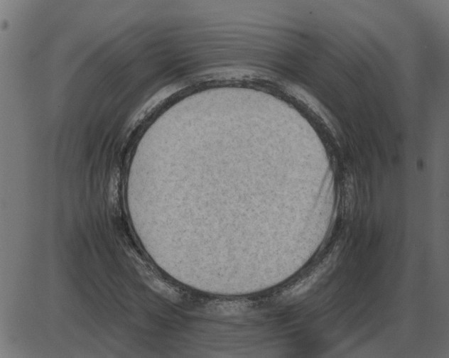 X0000087400778200705181331