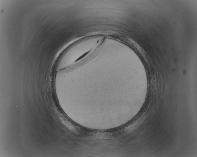 X0000087400779200705181331