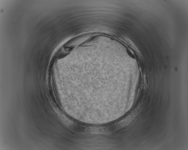 X0000087400780200705181331