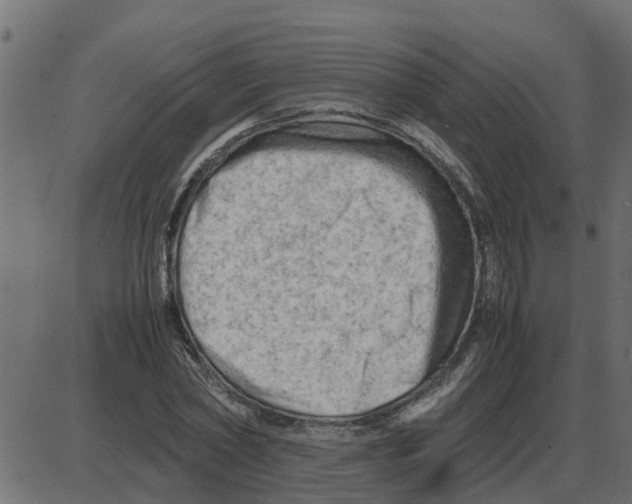 X0000087400782200705181331